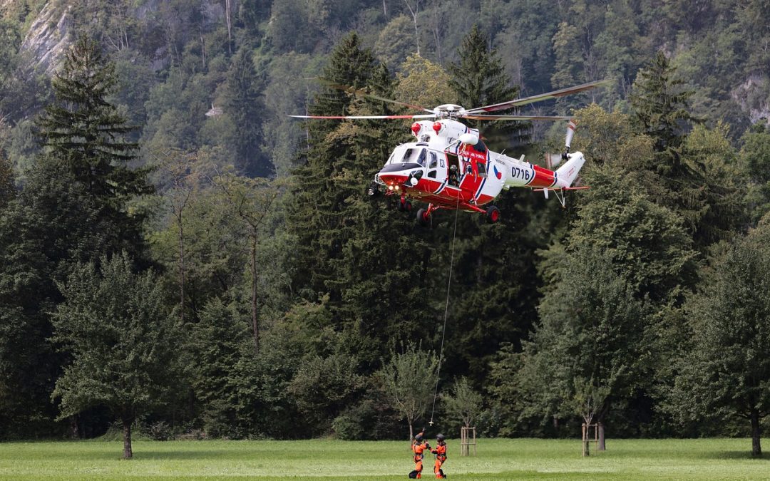 Dinas Damkar Karanganyar Evakuasi Ular di Lapangan