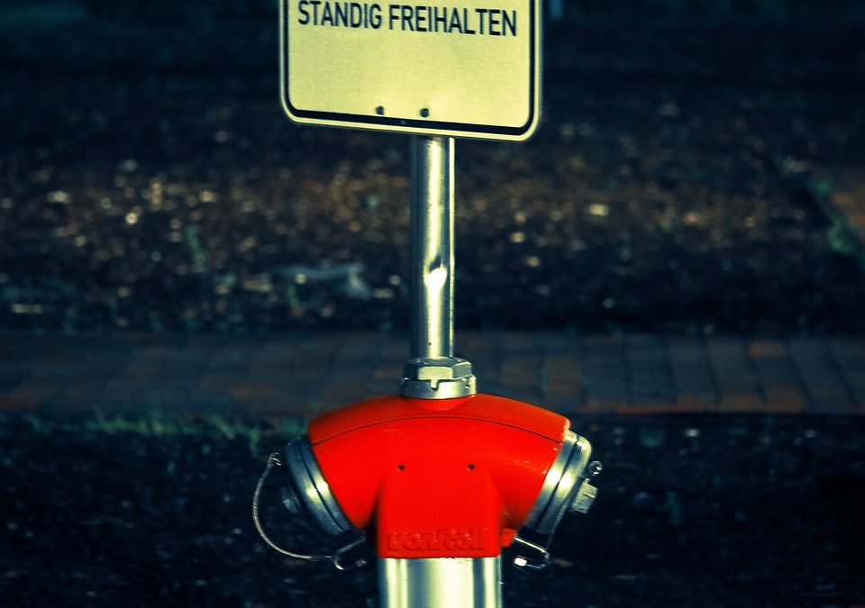 Dinas Damkar Karanganyar Gelar Rescue di Kebun Warga